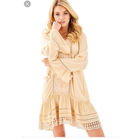 Percilla Tunic Dress - Picture 1 of 6